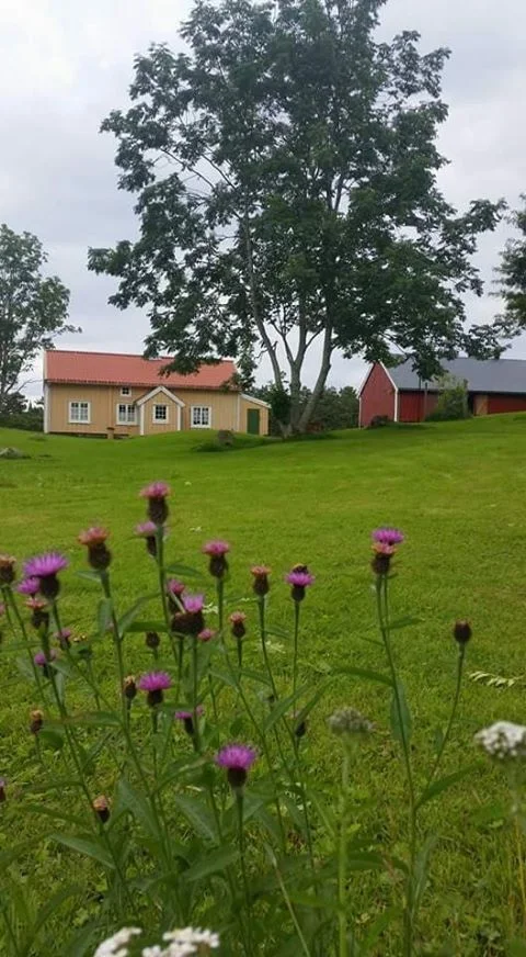 Foto: Eva M. Høyer Sekse