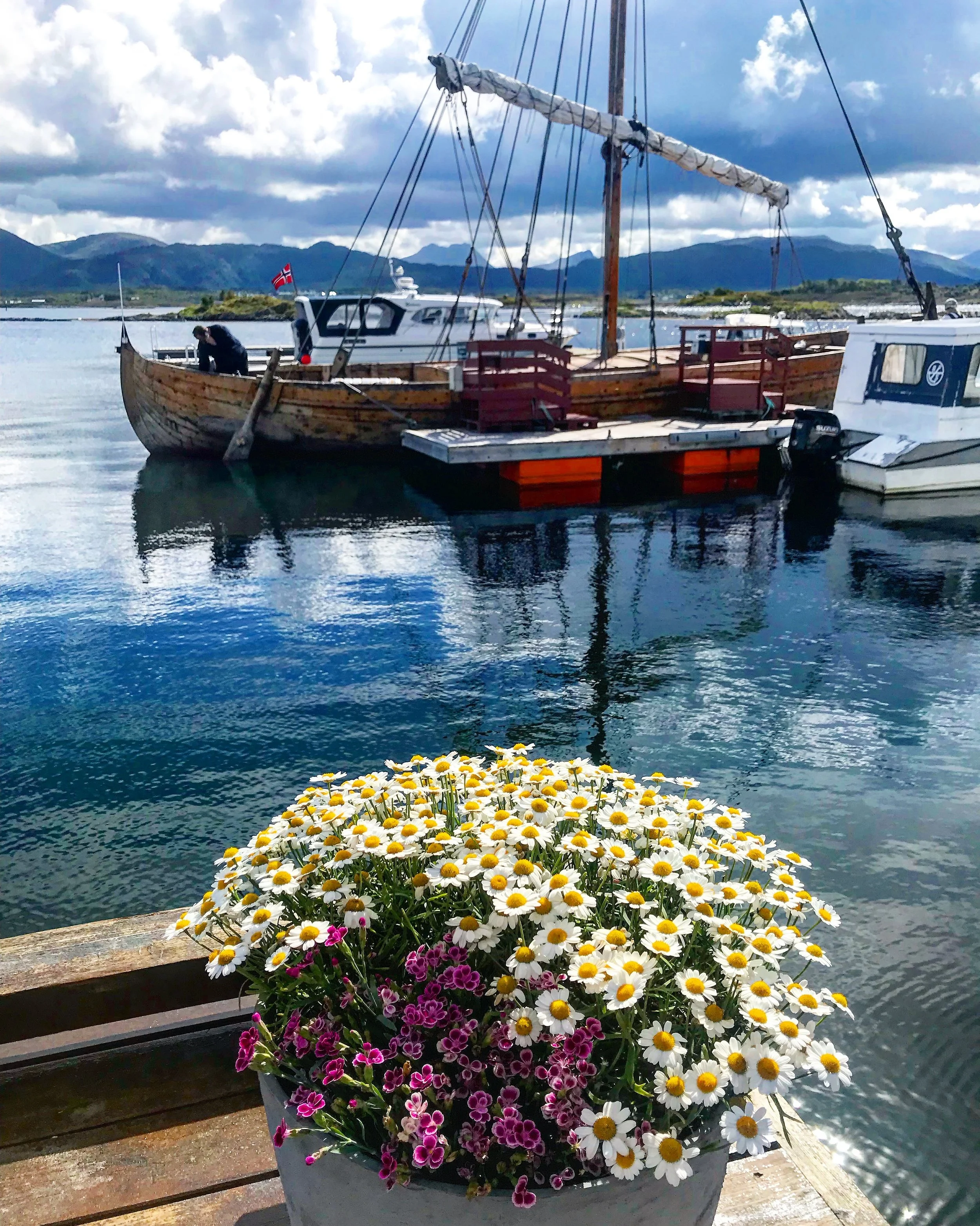  Det blomstrer på brygga 