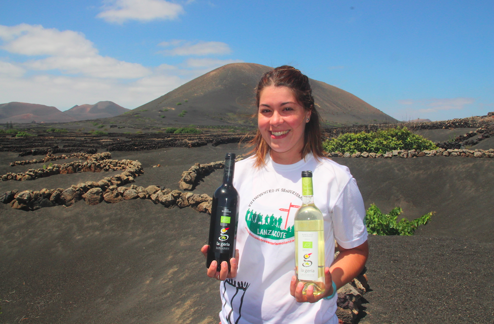 Lanzarote satser stort på økologiske viner. Du kan besøke vinmarkene om du vil. Foto: Odd Roar Lange