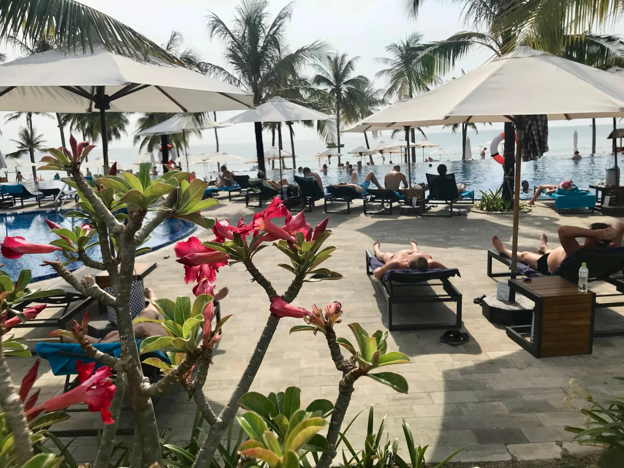 Reisegave: Dette er nytt i år