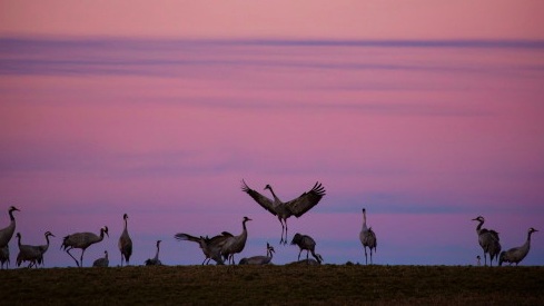 Bli med på en annen vårdans - med traner i Sverige