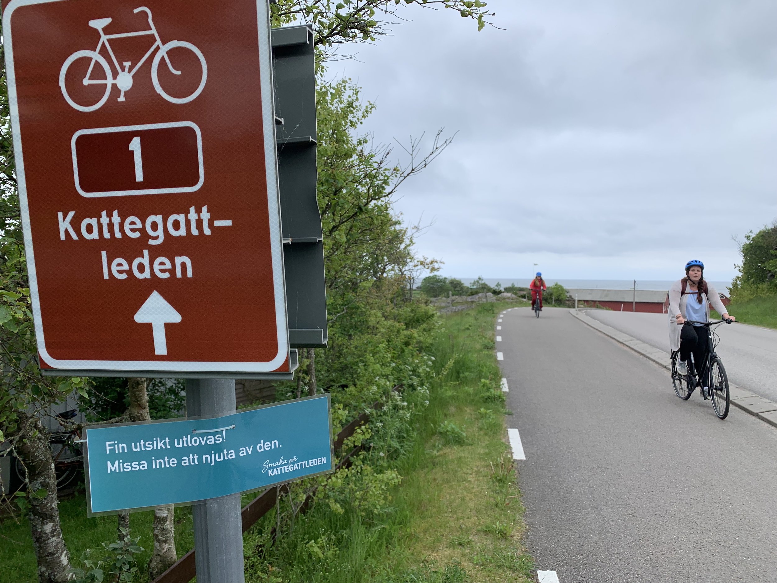 Følg disse rød/hvite skiltene på vegen langs Kattegatleden i Sverige.