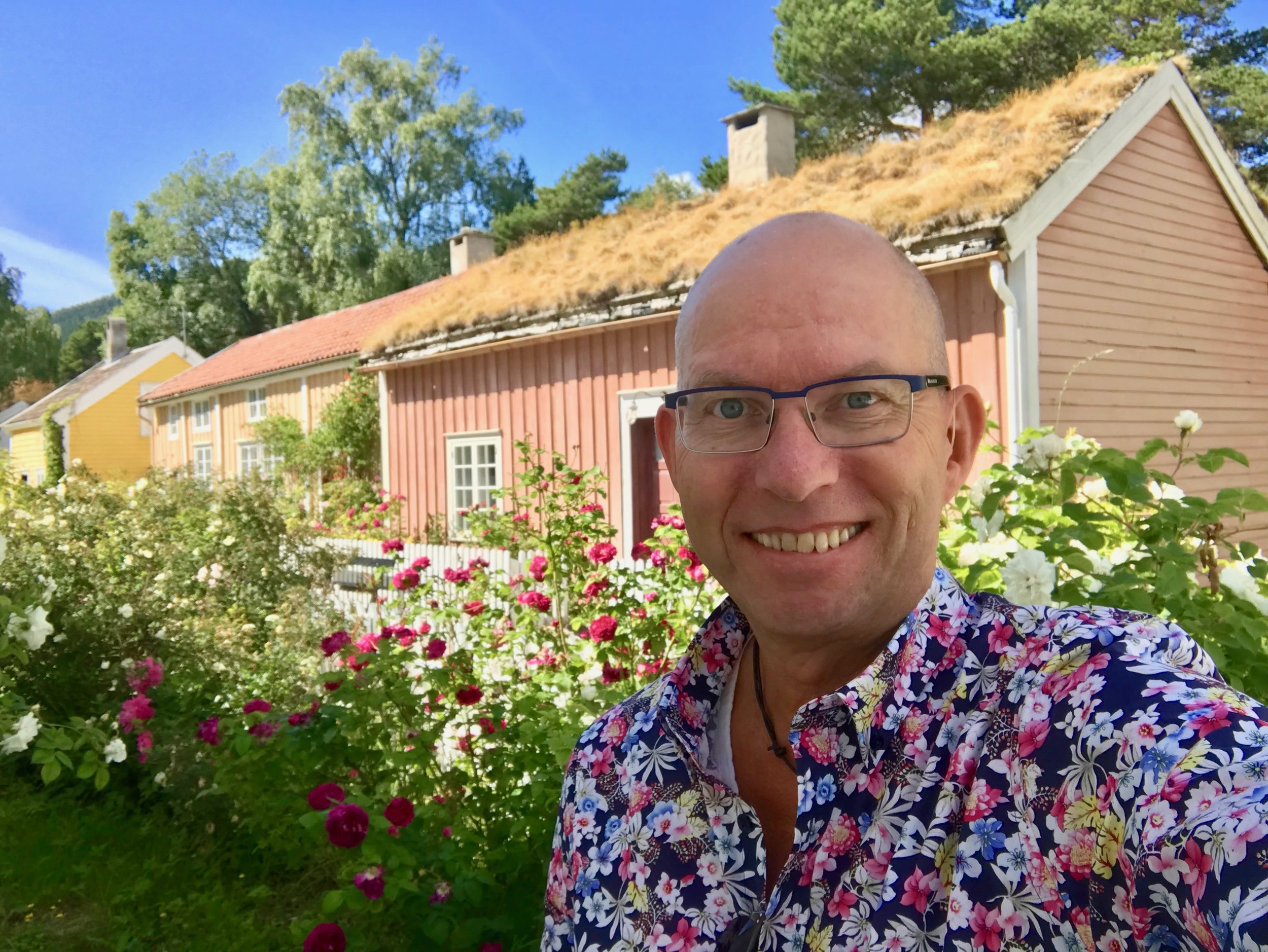 La rosene blomstre i Molde. Mens cruise- og hotellgjester bidrar med en euro hver til reetablering av Rosenes by.