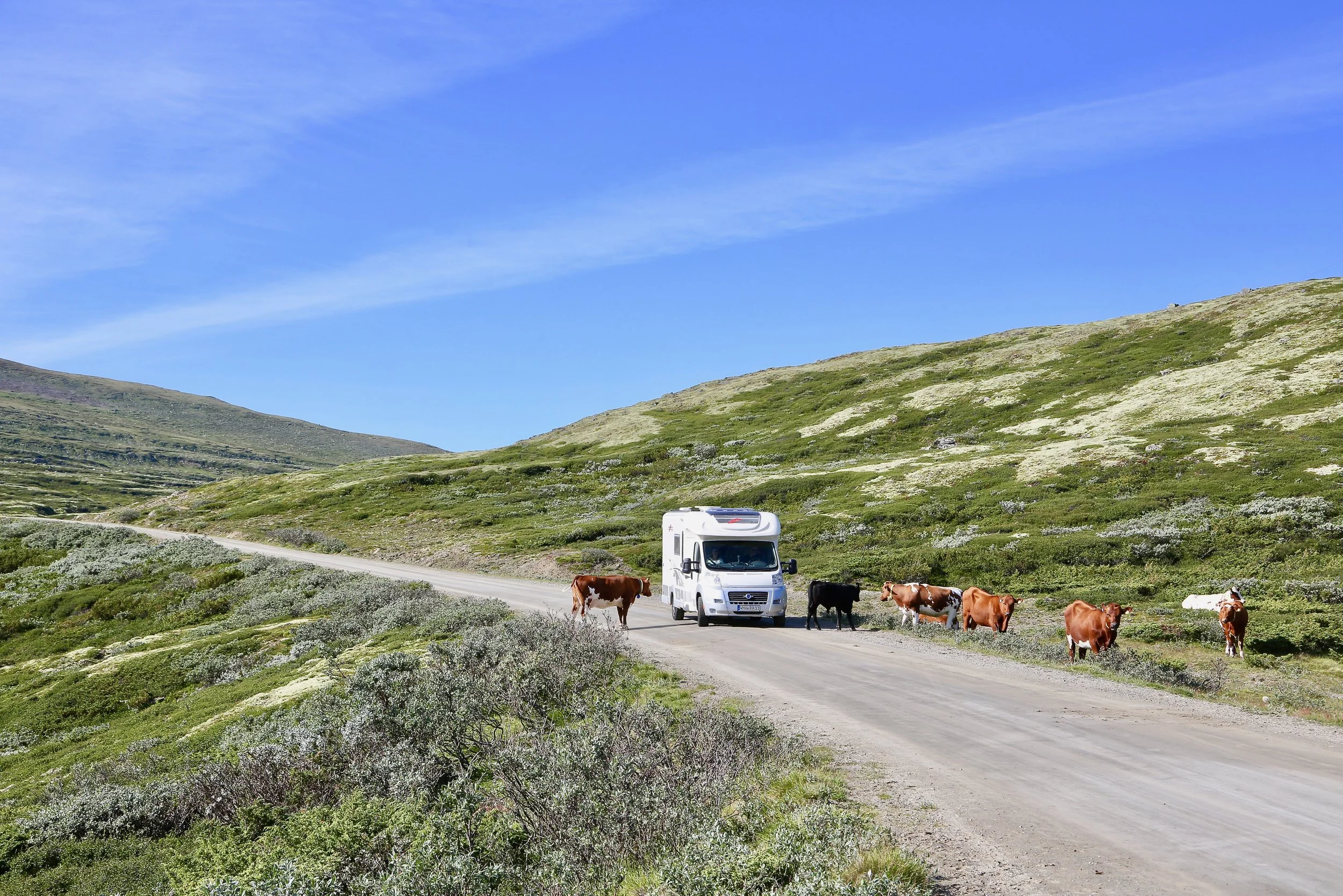 Lykken er å finne en vei som dette - utenfor allfarvei