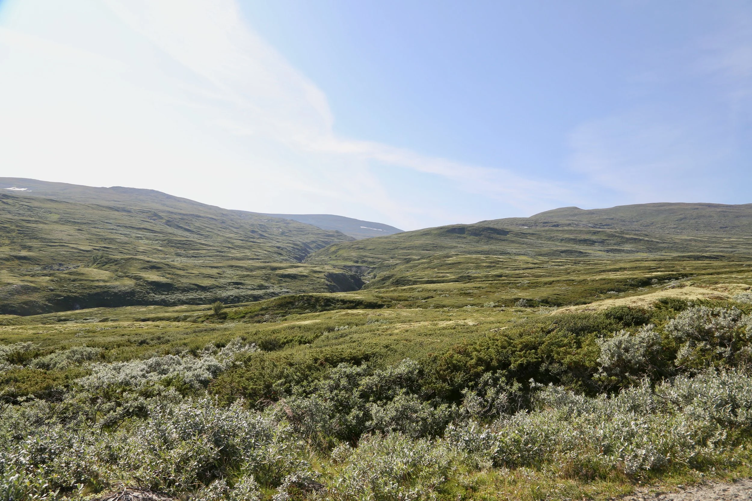 Naturopplevelsene ligger på begge sider av Slådalsvegen. Foto: Odd Roar Lange