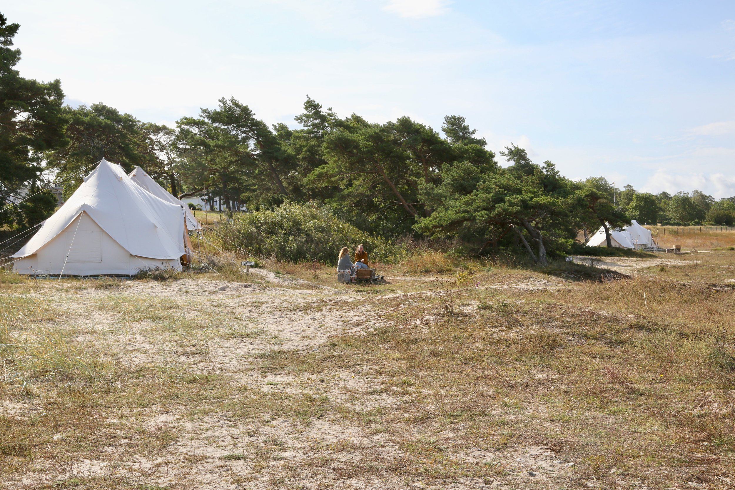 Surflogiet på Tofta på Gotland har luksustelt på stranden. Foto: Odd Roar Lange