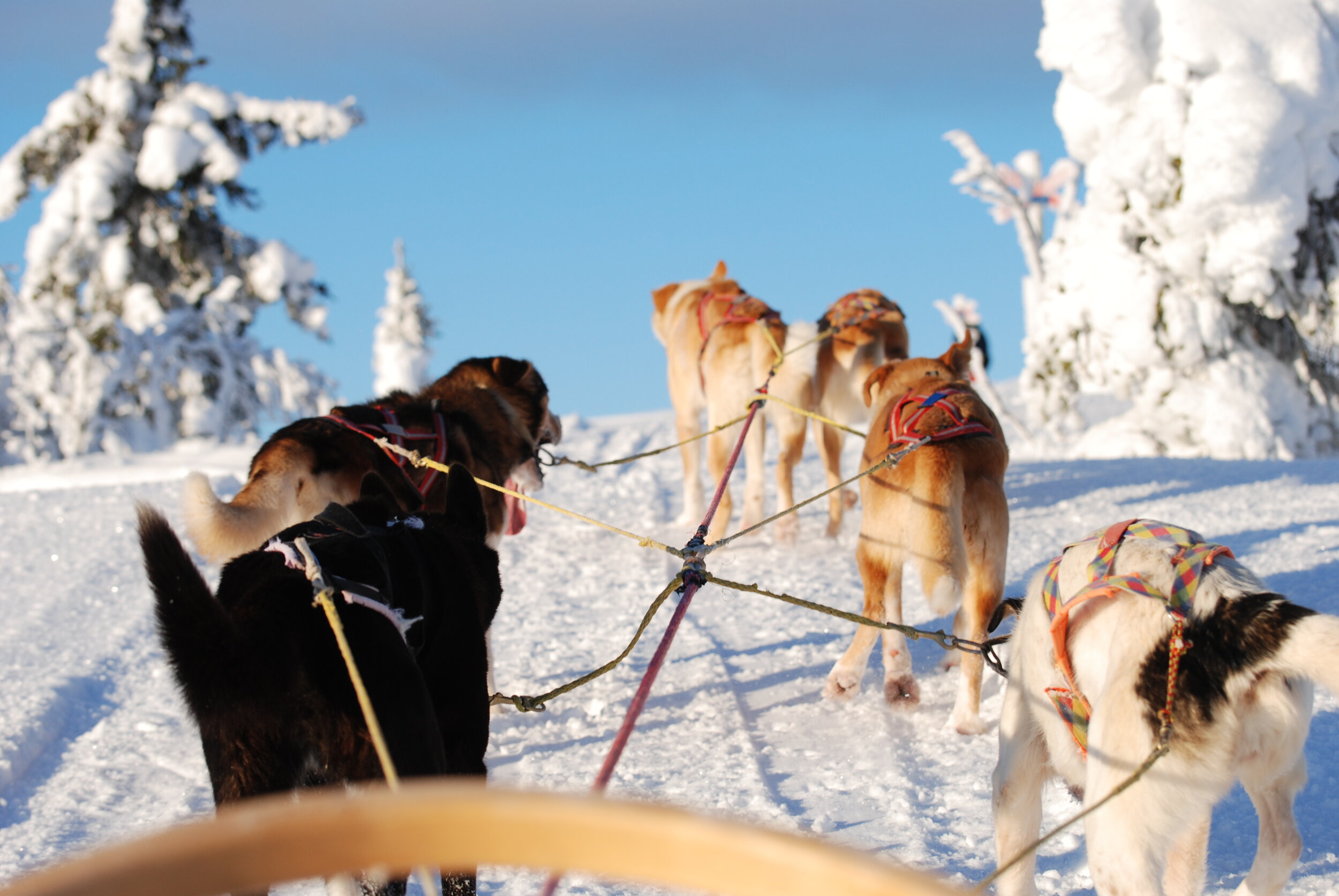 En herlig starte på skiferien fra Scandinavian Mountains Airport. Foto: Peakpoint