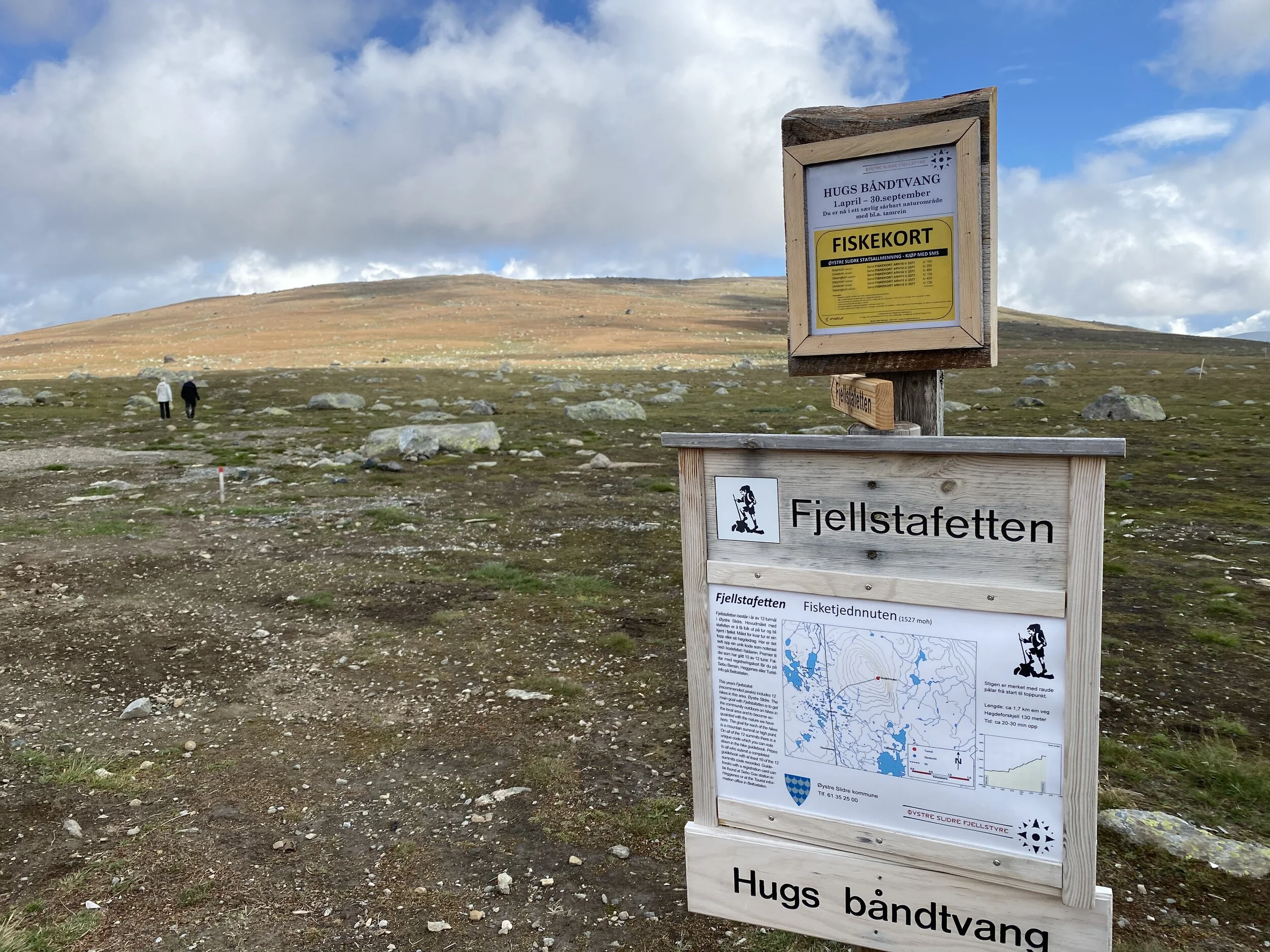 Ta gjerne en tur til fjells.                                                                          Foto: Odd Roar Lange