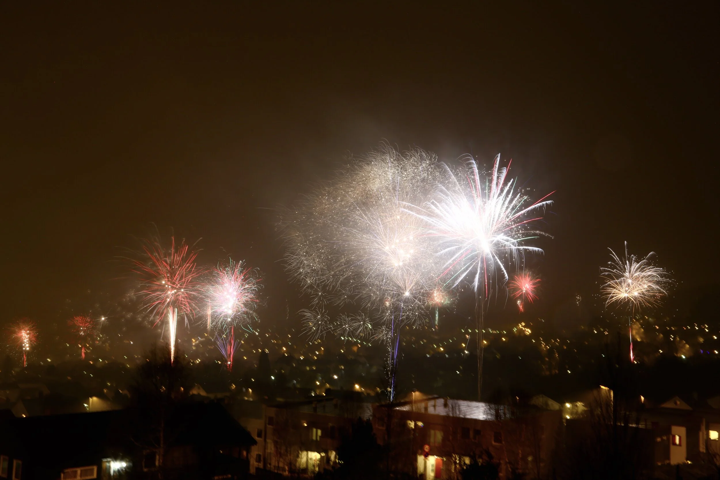 Nyttårsaften: Unngå at hunden din blir redd når det smeller