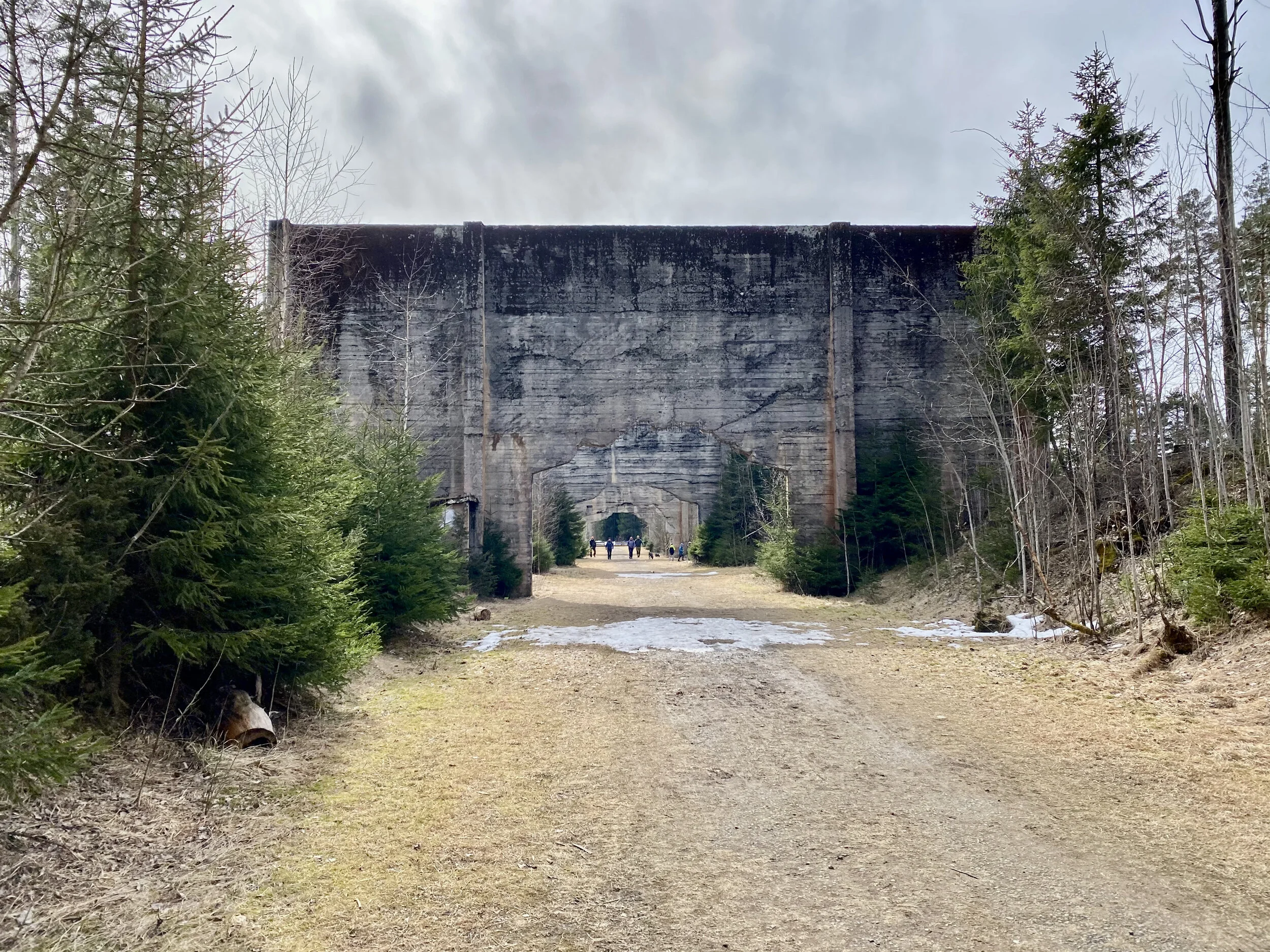 Vår reise - til dødens skog