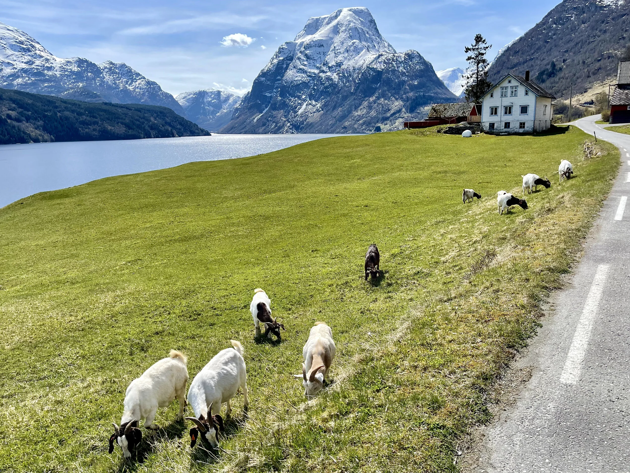 Slik blir den nye strategien for norsk reiseliv