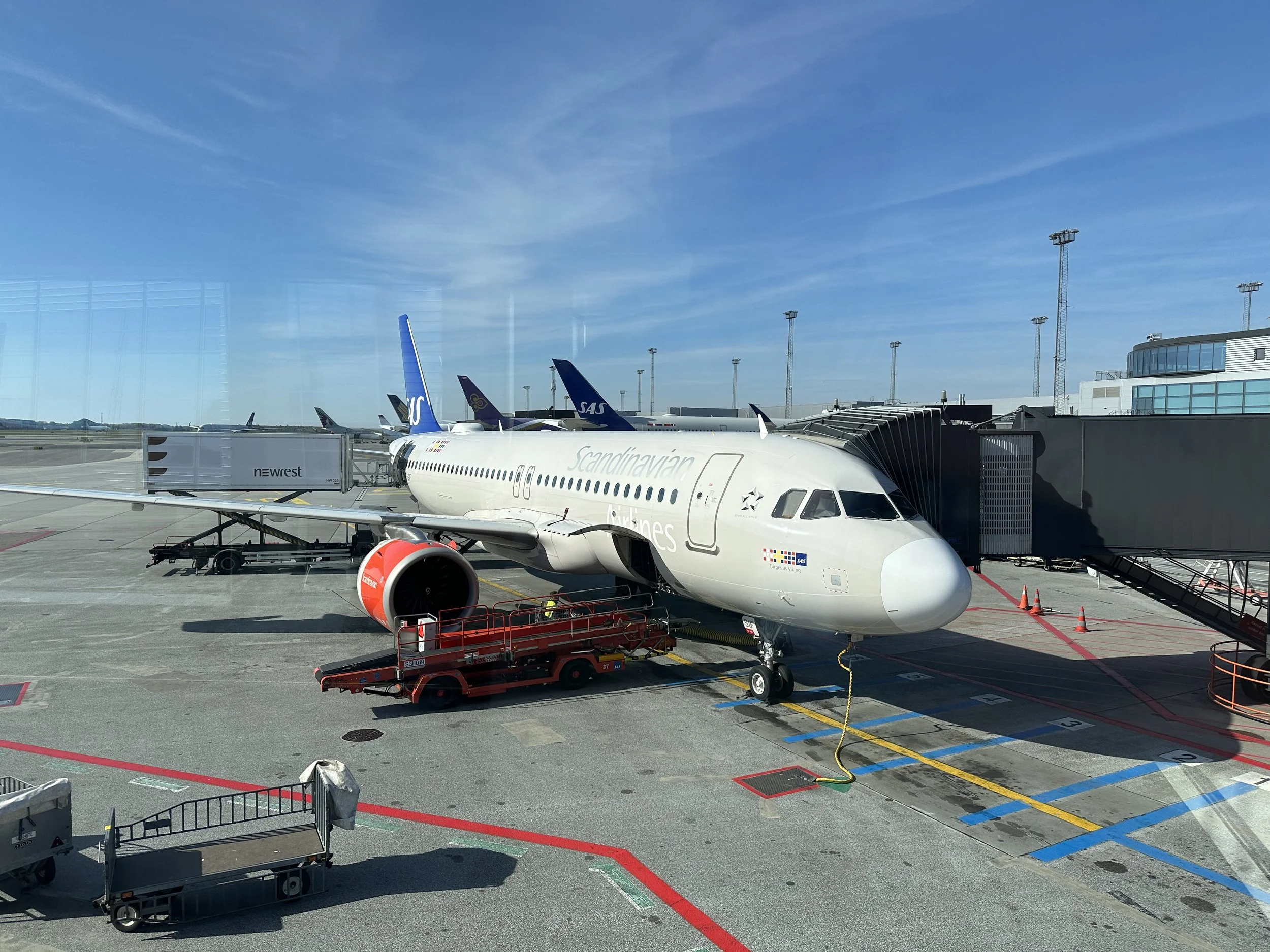SAS returnerer til Afrika 