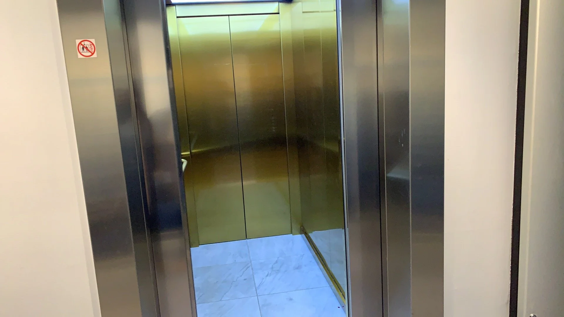 Hvorfor er du så musestille her?