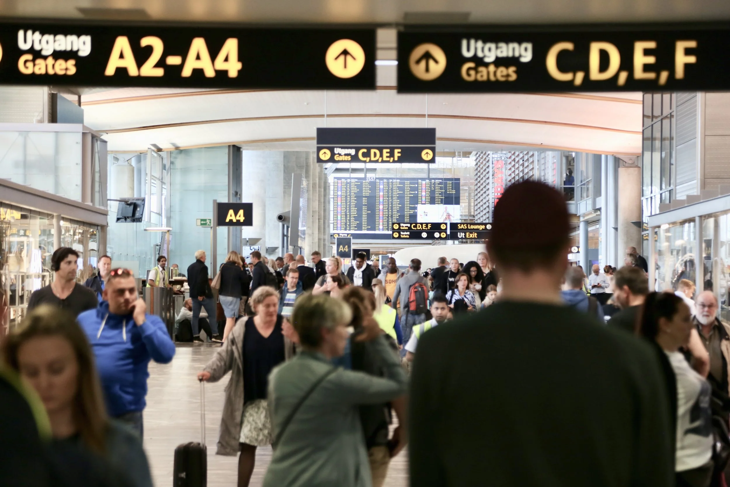 - Nå kan Trump og Musk ødelegge ferien din