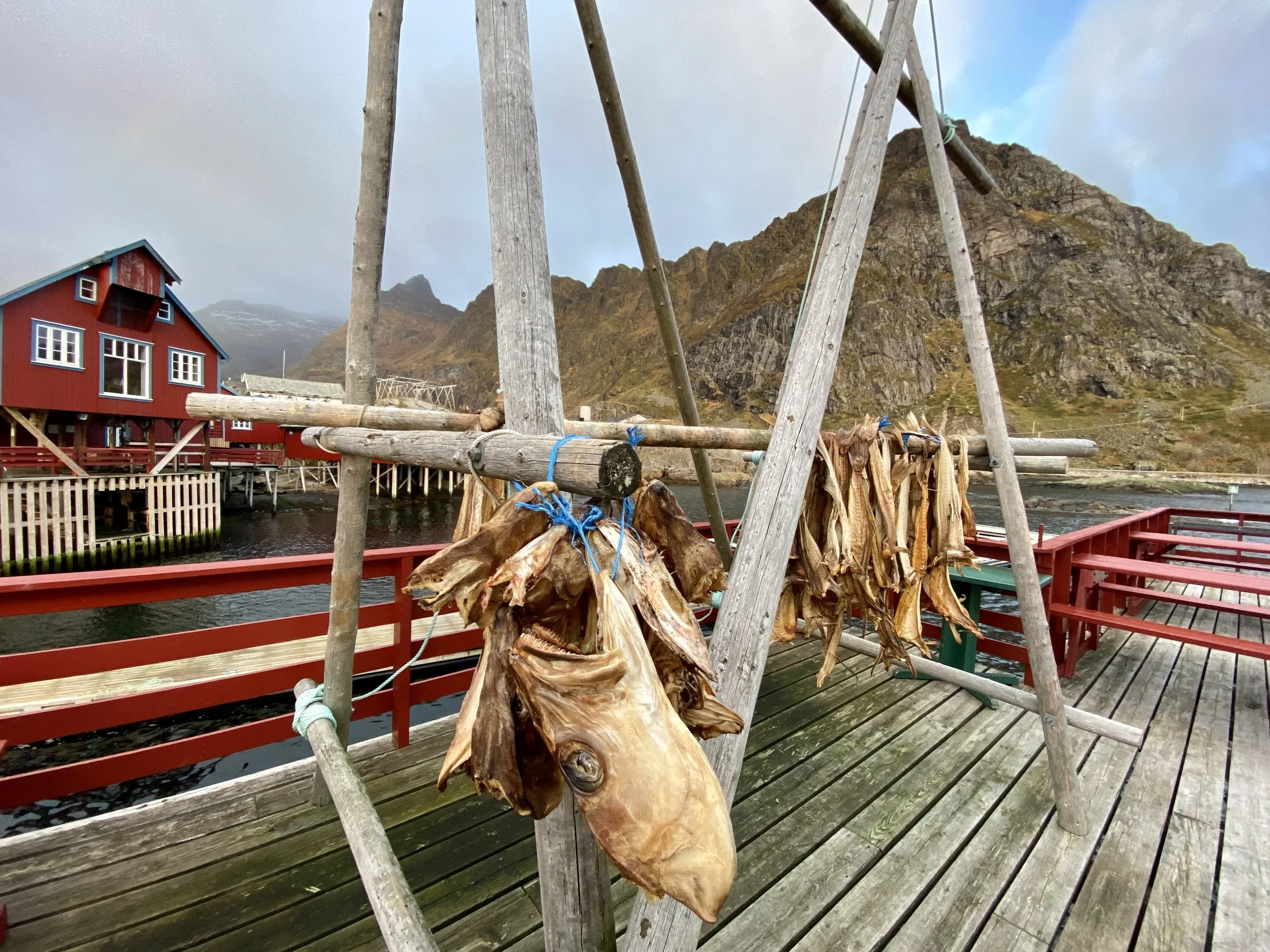 - Det er ikke synd på Lofoten