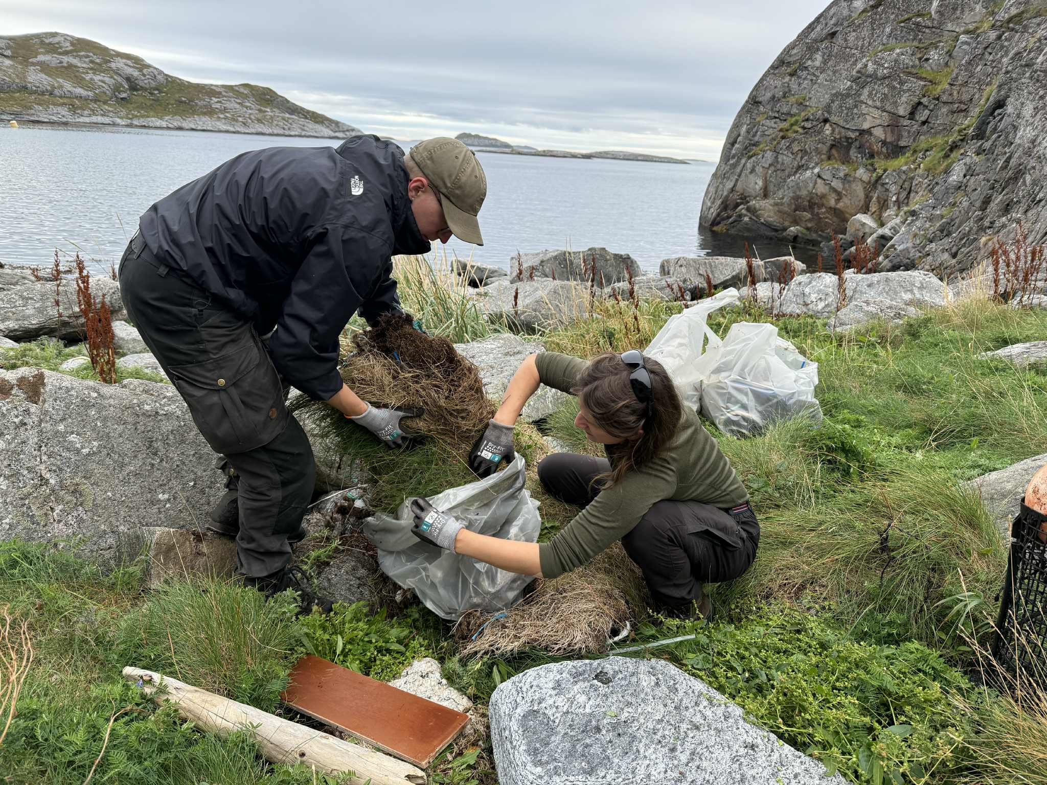 Dugnadsturisme på Træna: Når gjestene gir noe tilbake