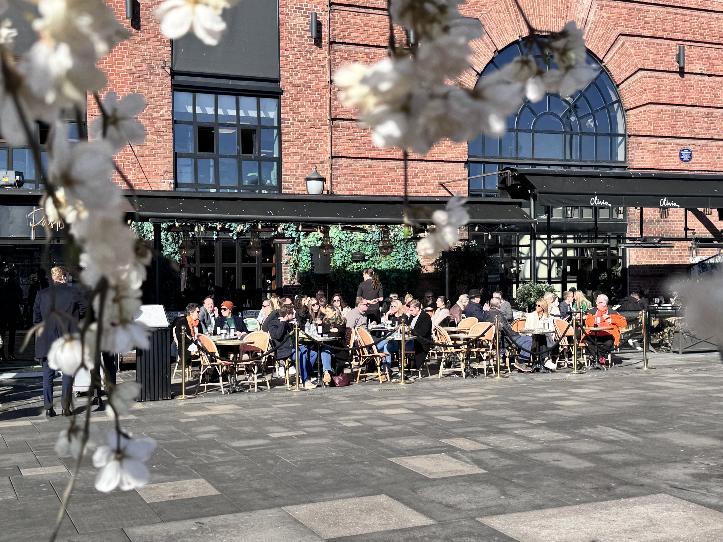 Gi serveringsbransjen halv moms – og pengene skal ikke til kundene