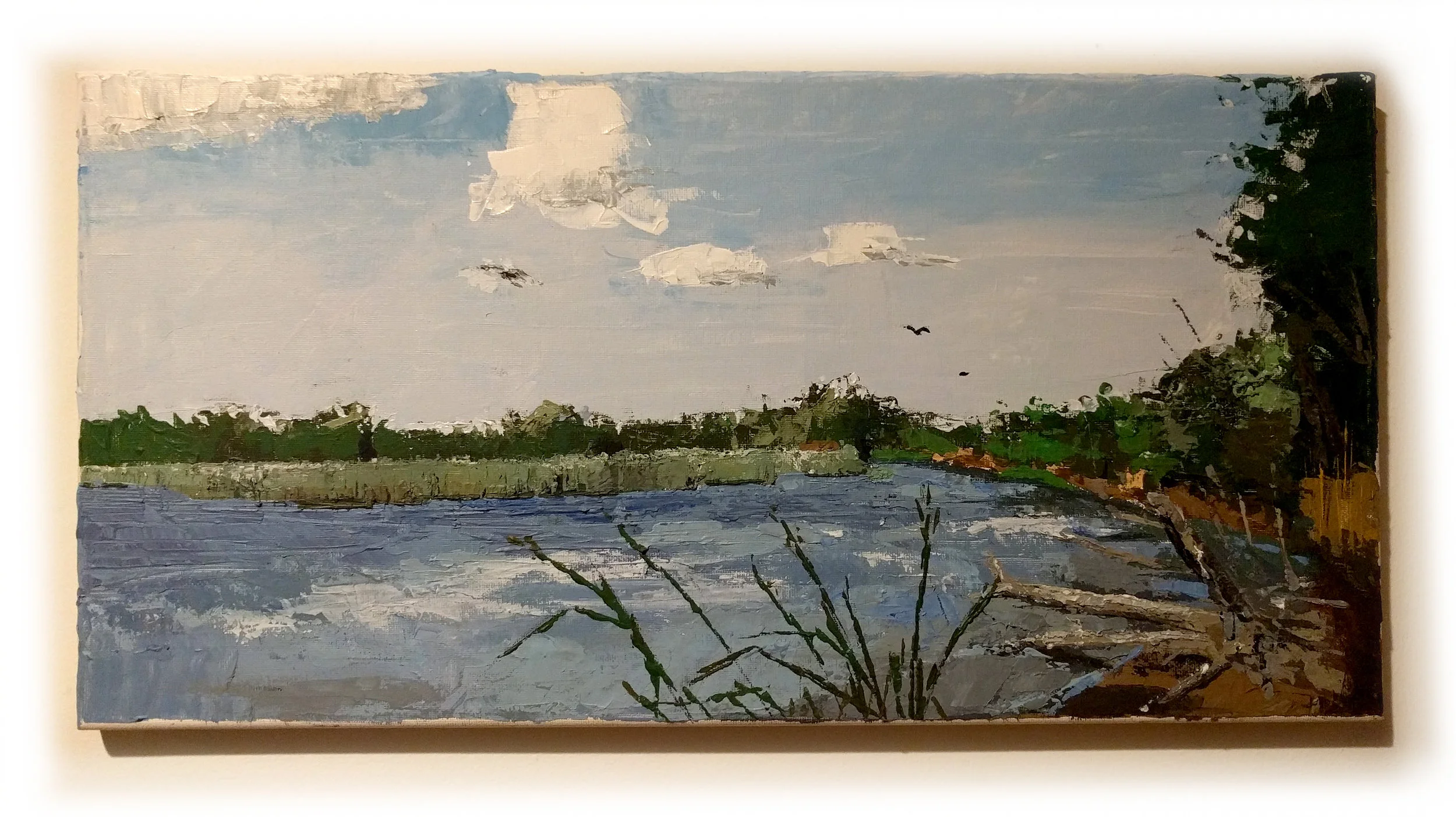 Cedar Hill Marsh