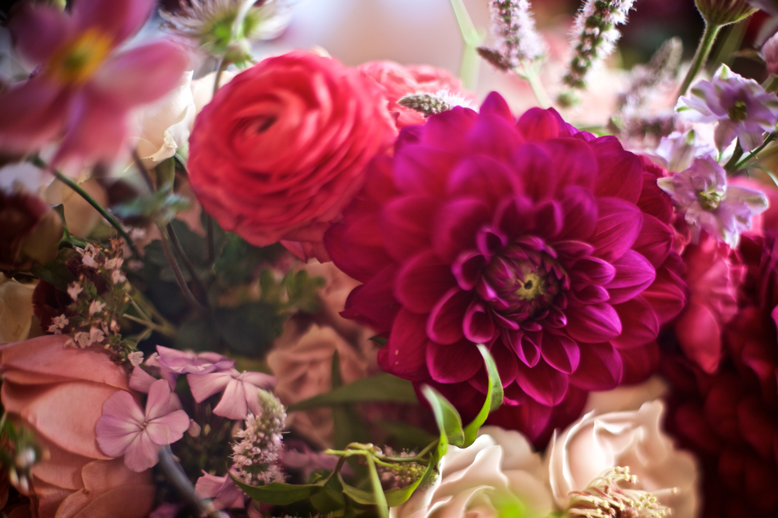 Chris & Holly Hatley 2 34.jpg