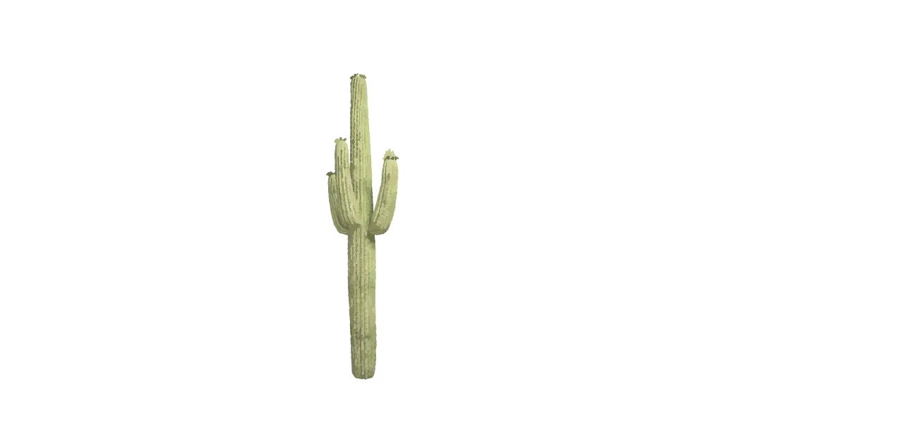 cactus-plain.jpg