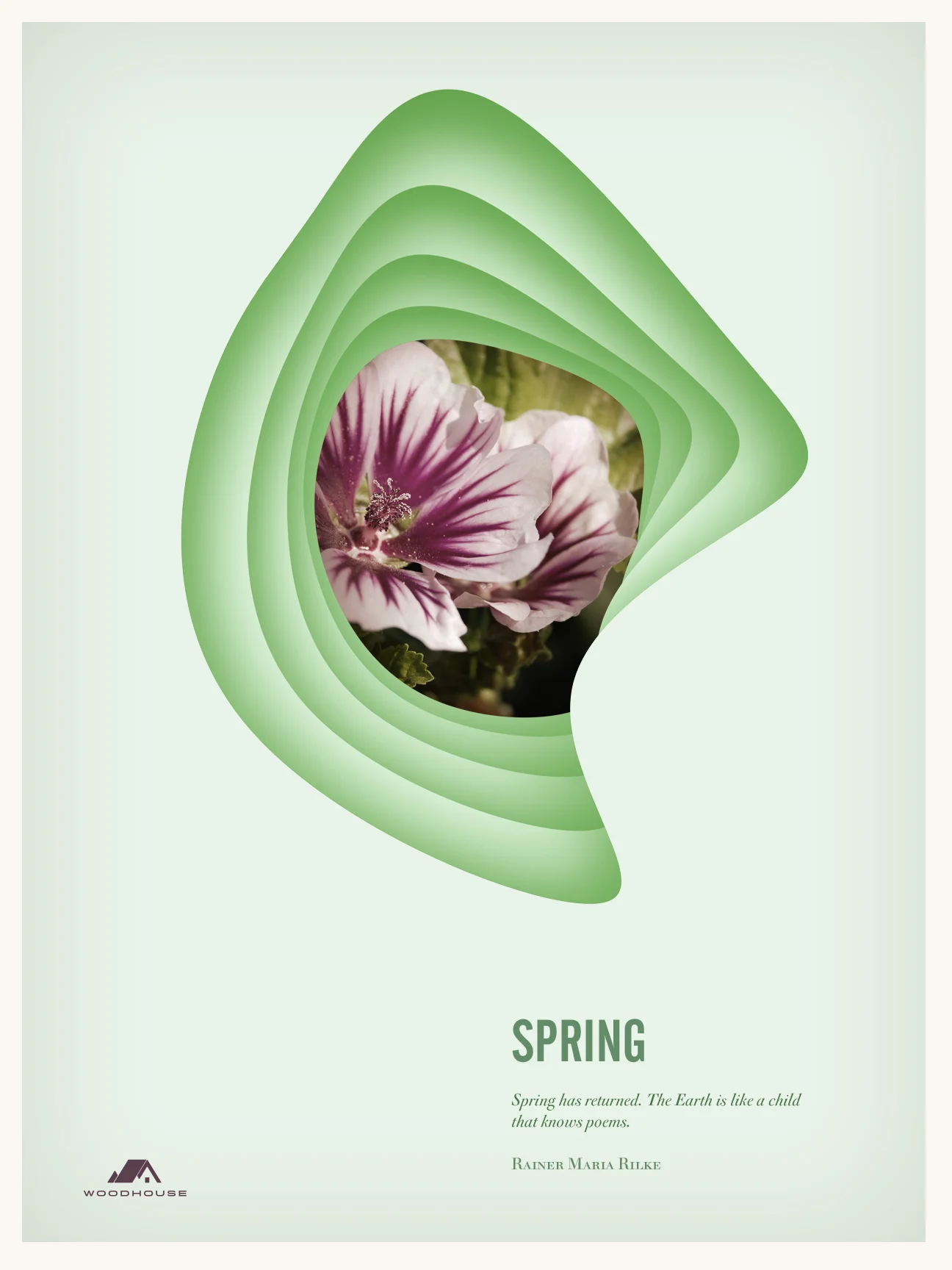 spring.jpg