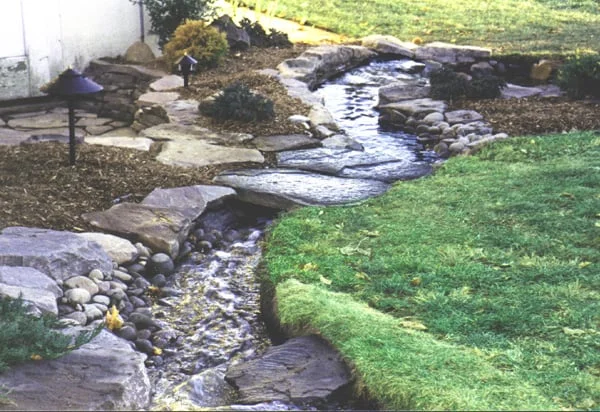 sheb stonebridge8x10 copy_1.jpg