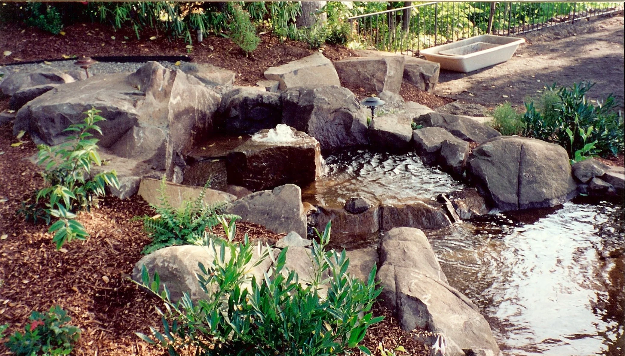 brugman pond water source.jpg