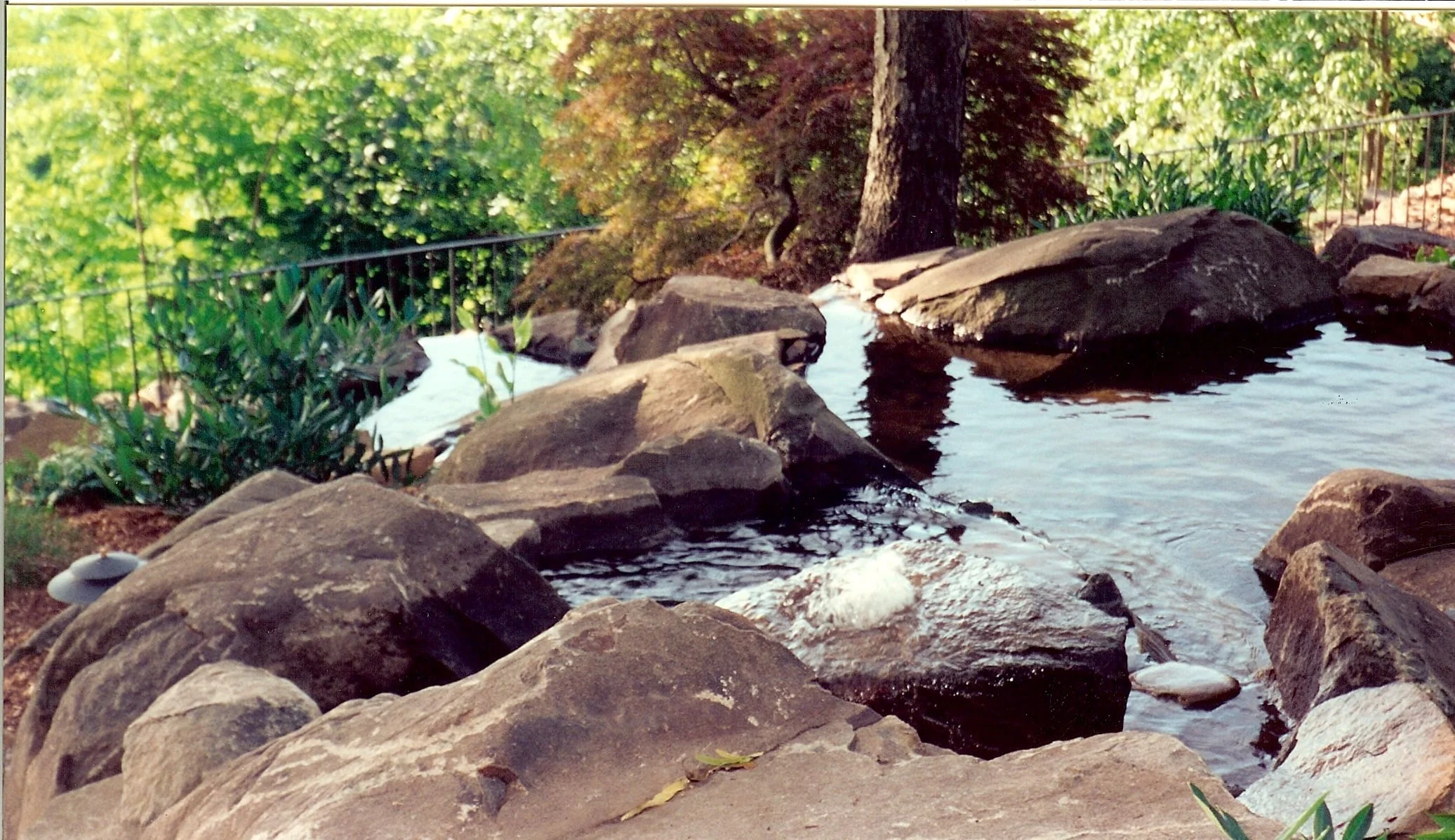 brugman pond upper level 1.jpg