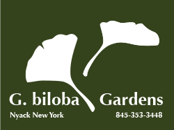 G. Biloba Garden Environments