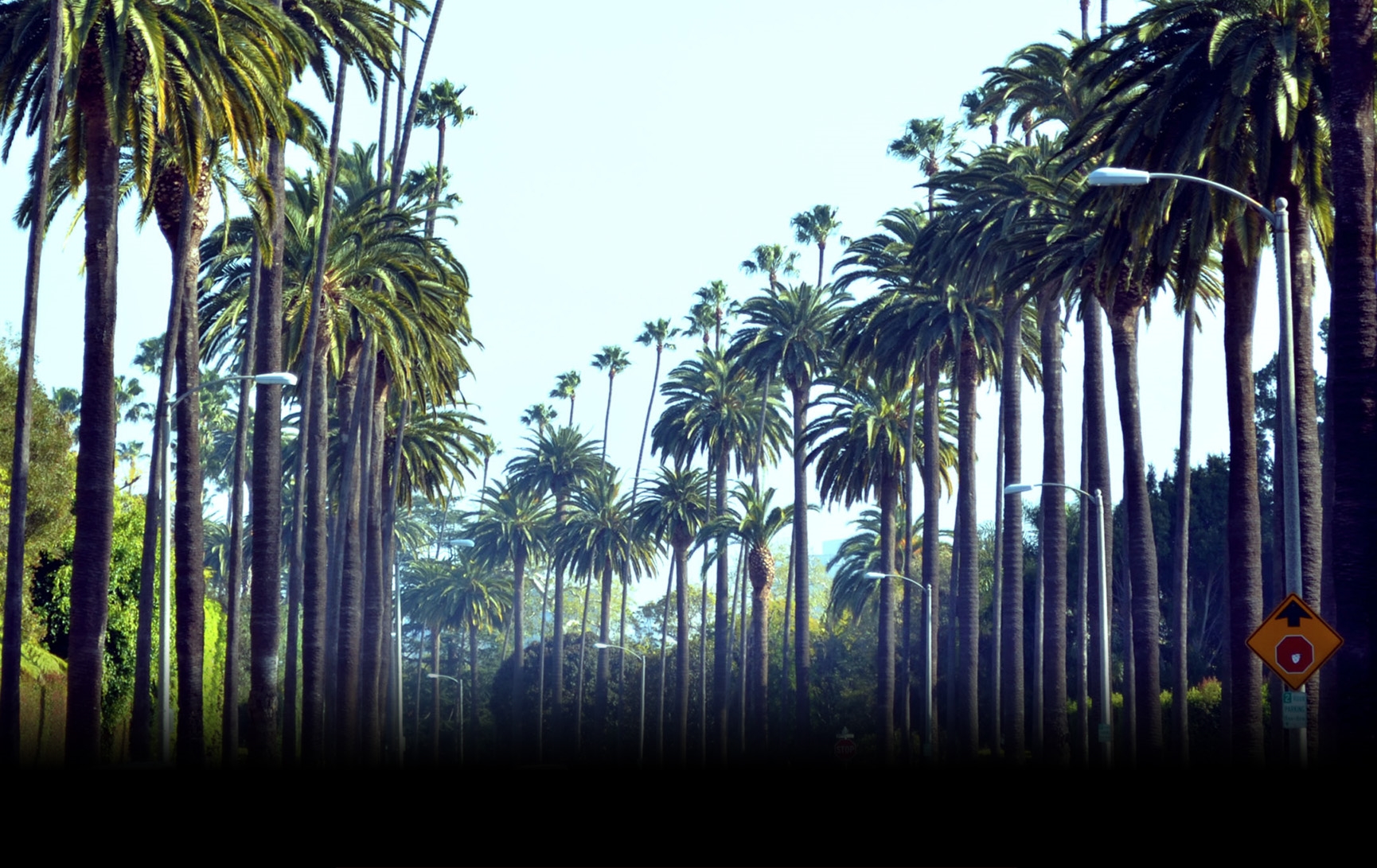 Background_01a.jpg