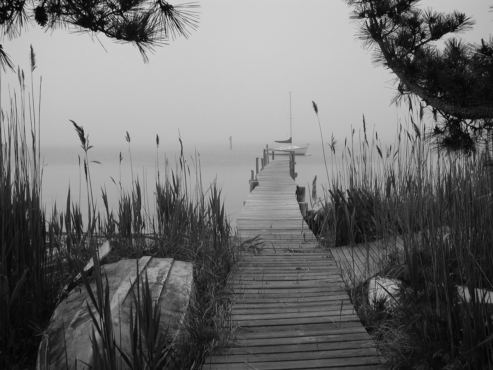 DSCN0707_2.jpg
