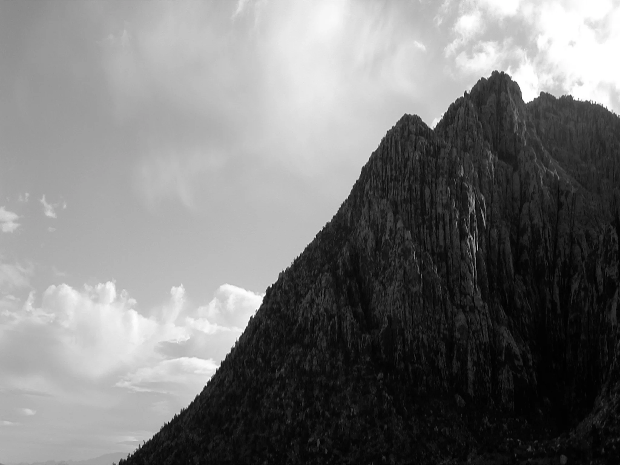 DSCN2204.jpg