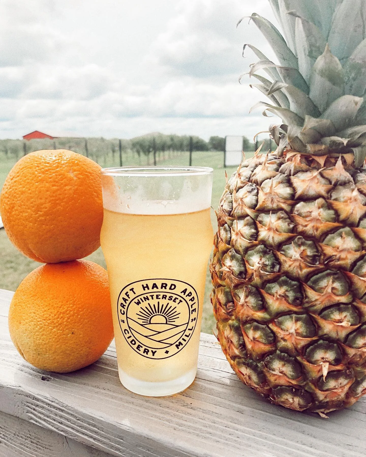 We're releasing another new seasonal flavor PINEAPPLE ORANGE starting tonight at Trivia Night!  Grab your friends, bring some snacks/dinner, and start the holiday weekend right! :-)