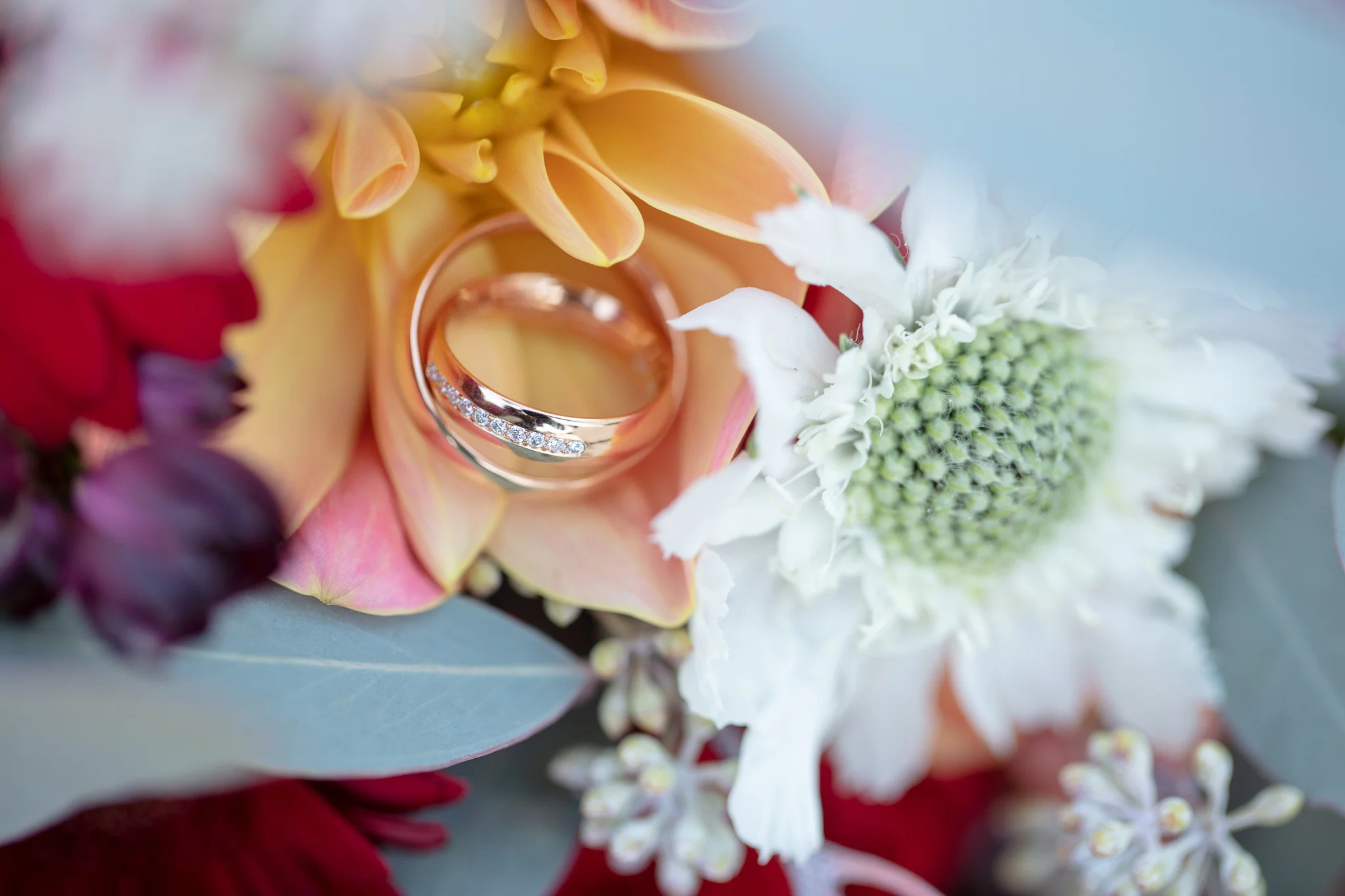 Bröllopsfotograf Linköping — Sofie & Reine, Bjärka Säby, detaljbild ringarna