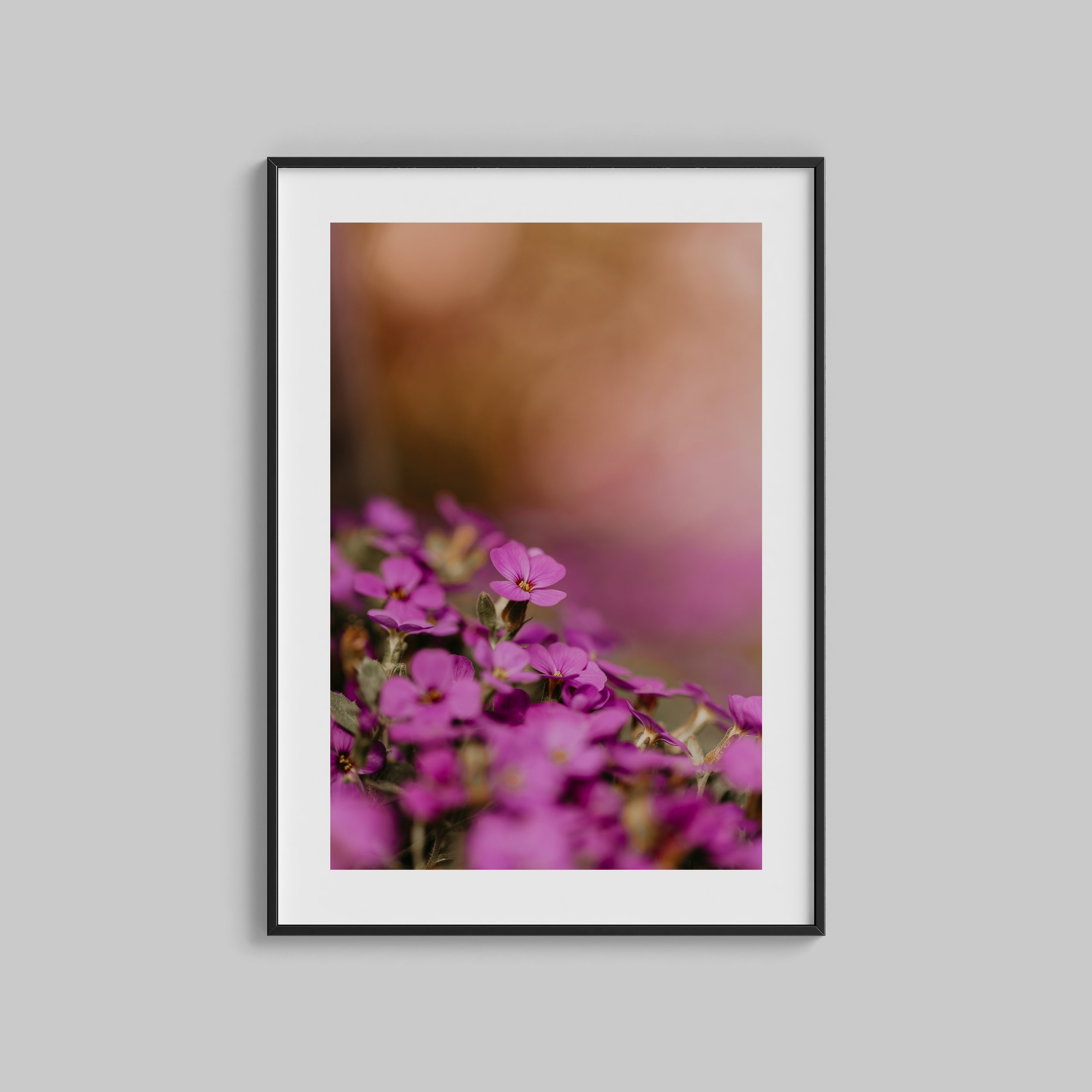 Råsa blomma V frame.jpg