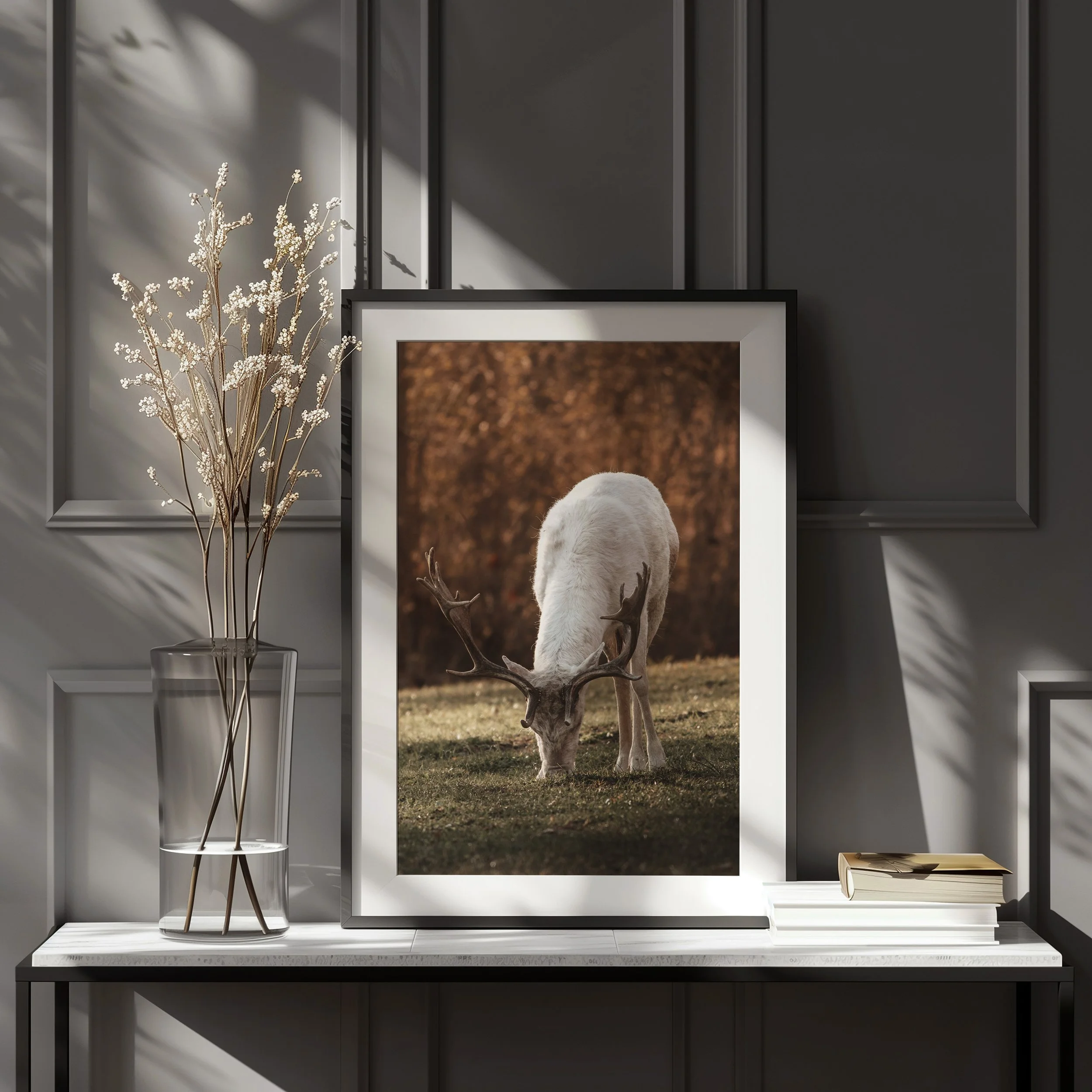 Fine Art Print | Vita dovhjort Betandes vid Bjärka-Säby