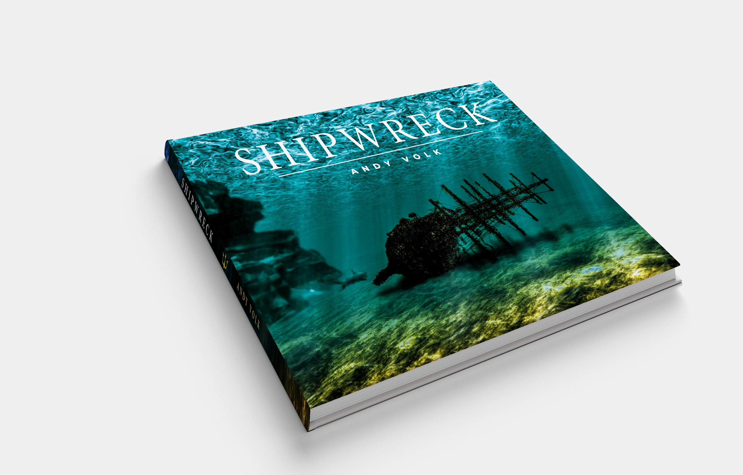 Cover Mock-up Merged Right.png
