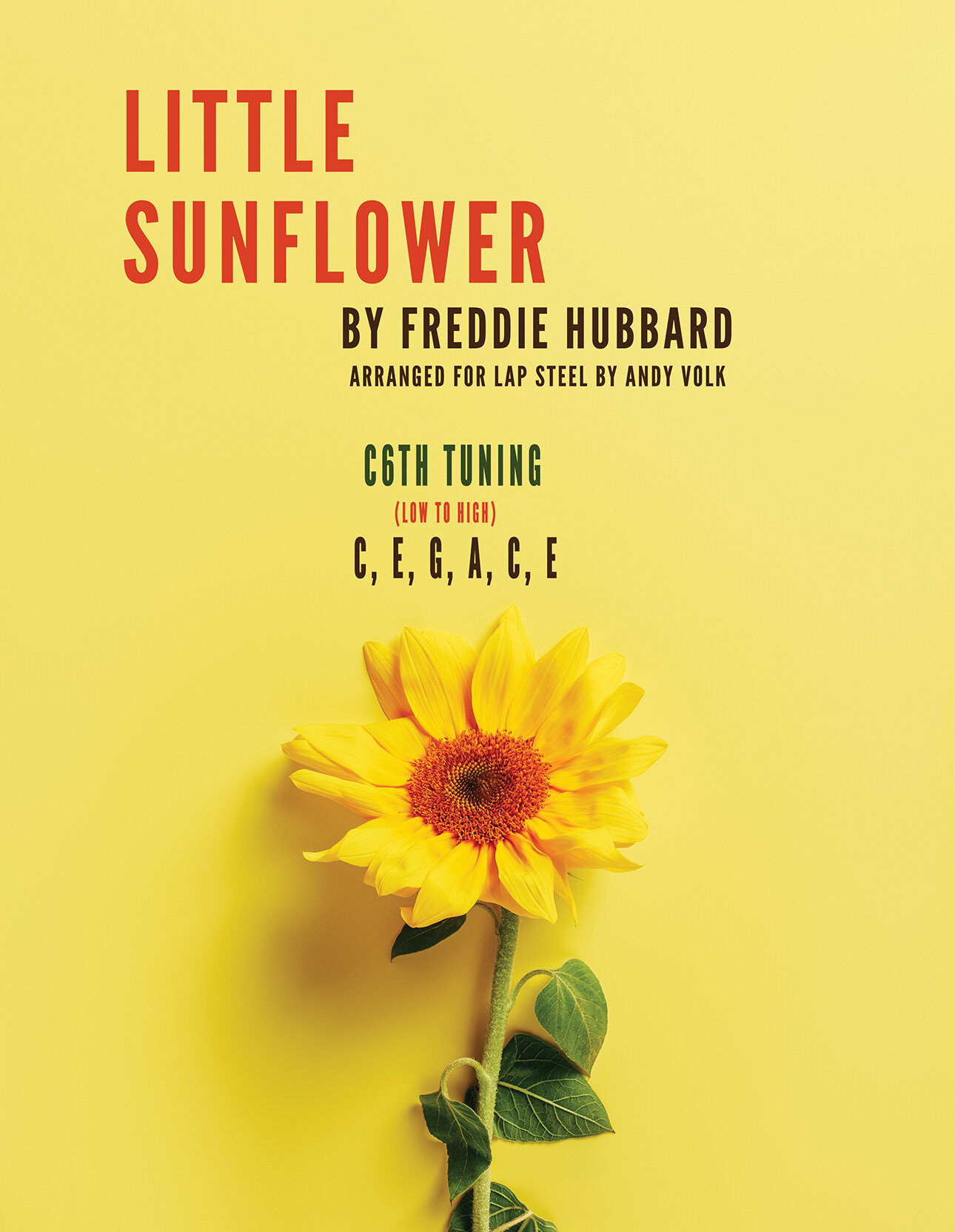 LITTLE SUNFLOWER Cover.jpg