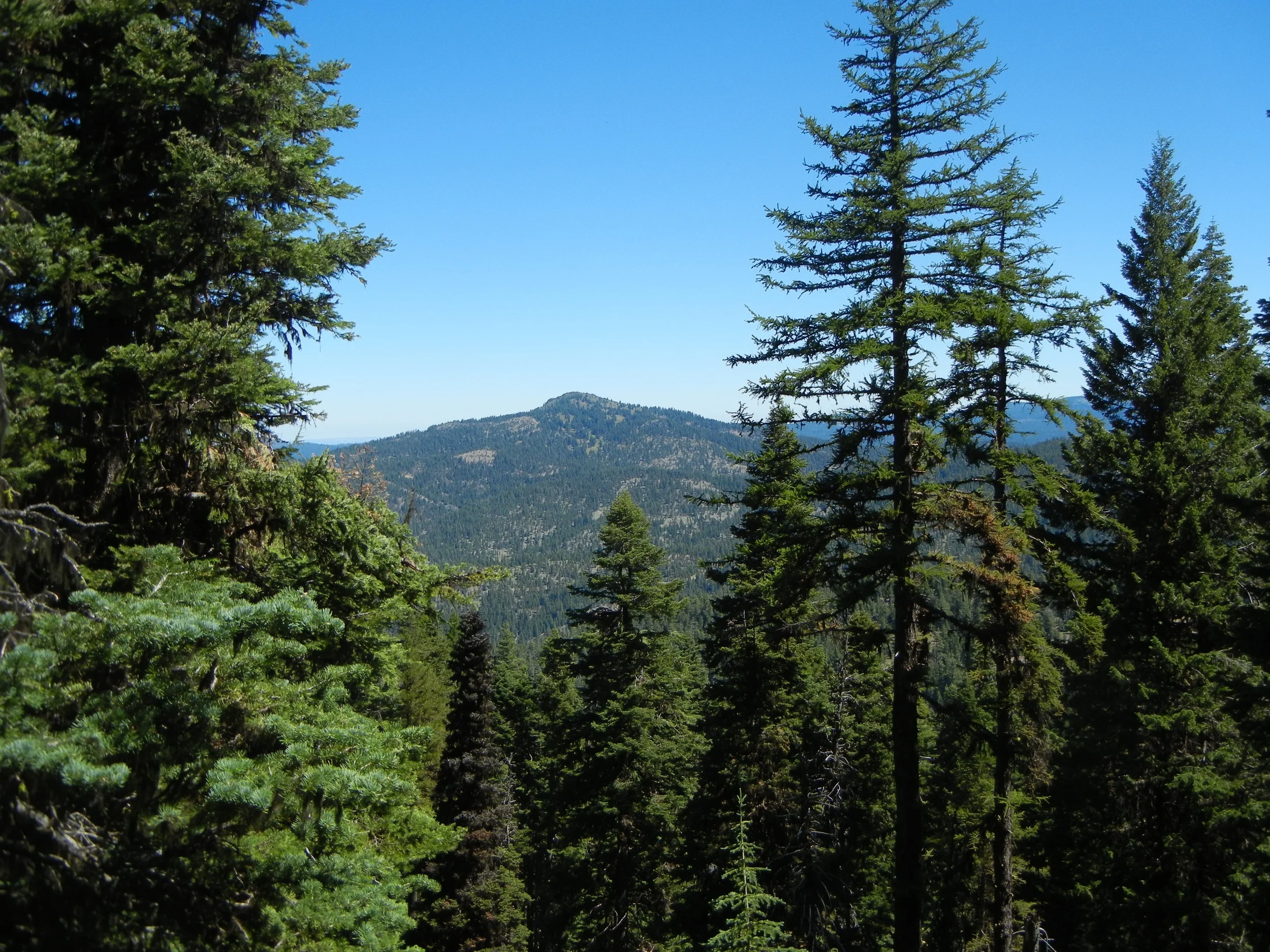 DSCN5162.jpg