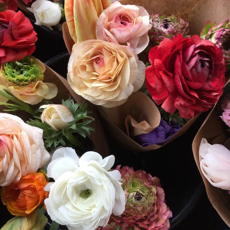 CSA Newsletter Week 18 - Agriculture is Essential