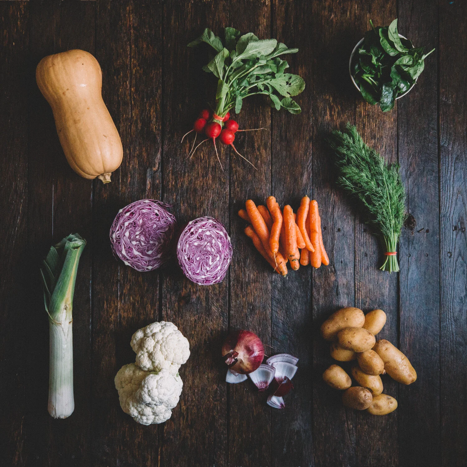 CSA Newsletter 25 - End of Winter CSA!