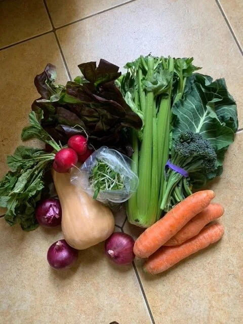 CSA Cooking Class 1: Basics of a CSA