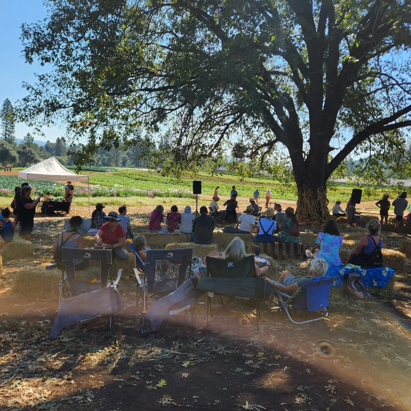🌽💃🎻 Square Dance &amp; Old-Time Jam at Mountain Bounty Farm 🌾✨ Saturday, July 19th &bull; Music starts at 7pm
Hey friends &amp; farm lovers! We&rsquo;re excited to invite you to a summer evening of live music and dancing on the farm @mountainboun