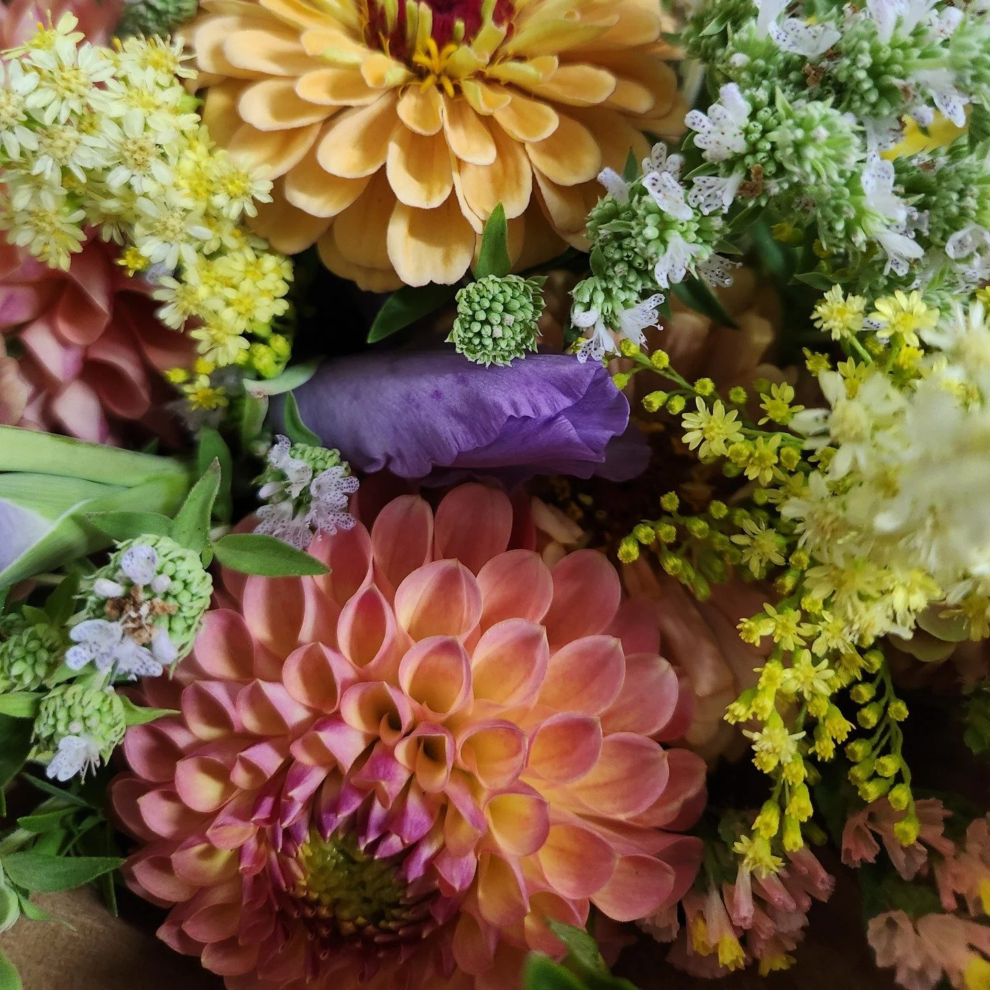 If the end of the summer is giving you the blues, treat yourself to our &quot;Back to School Blooms&quot; 4 week organic Flower Share CSA!

This 4 week offering of certified organic mixed bouquets from Sweet Roots Farm in Grass Valley will feature sm