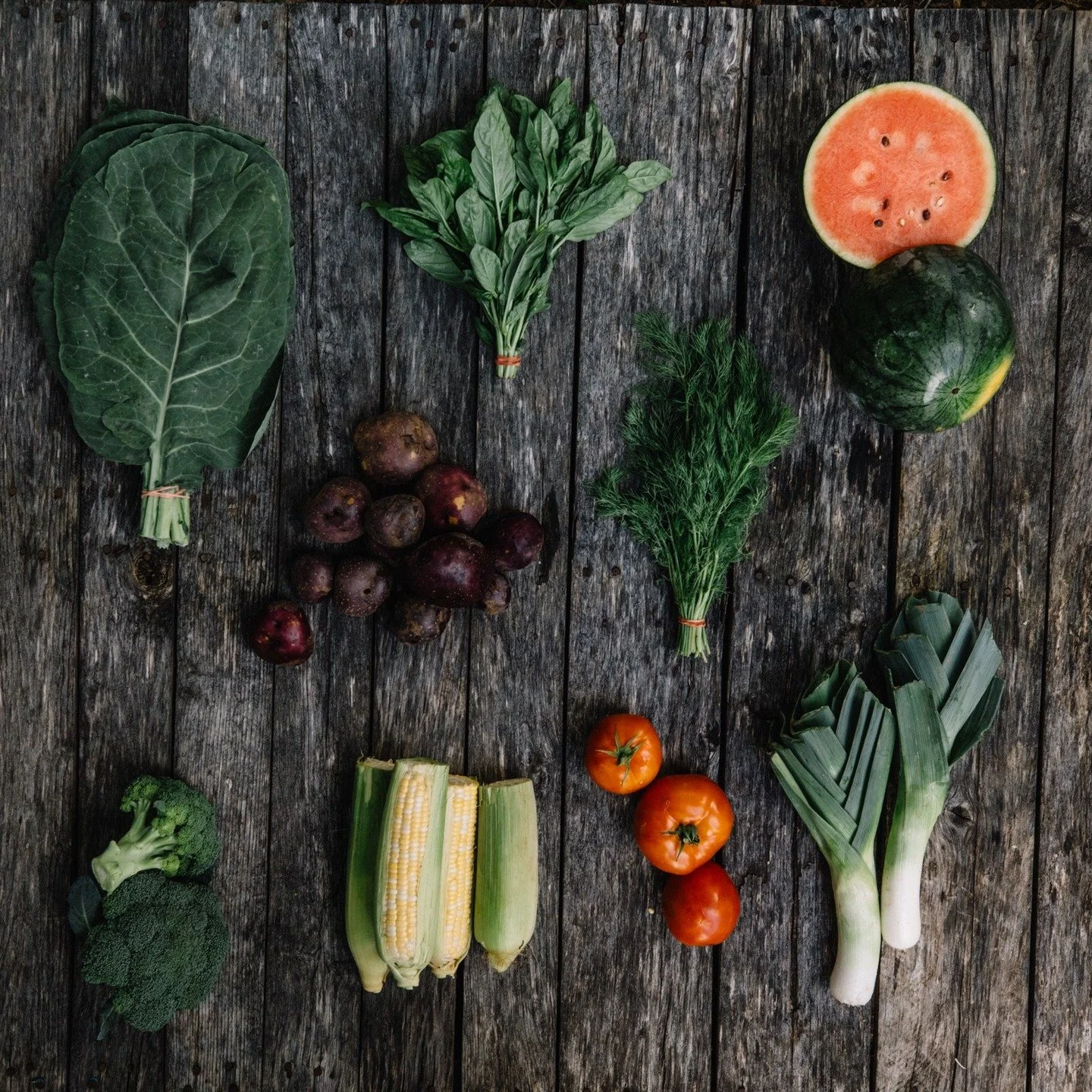 Nevada County CalFresh EBT customers - did you know you can now get 50% off a Mountain Bounty Farm weekly Veggie CSA Box??? 

We are thrilled to be partnering with @sierraharvest Harvest to offer this opportunity. If you know someone who might benefi