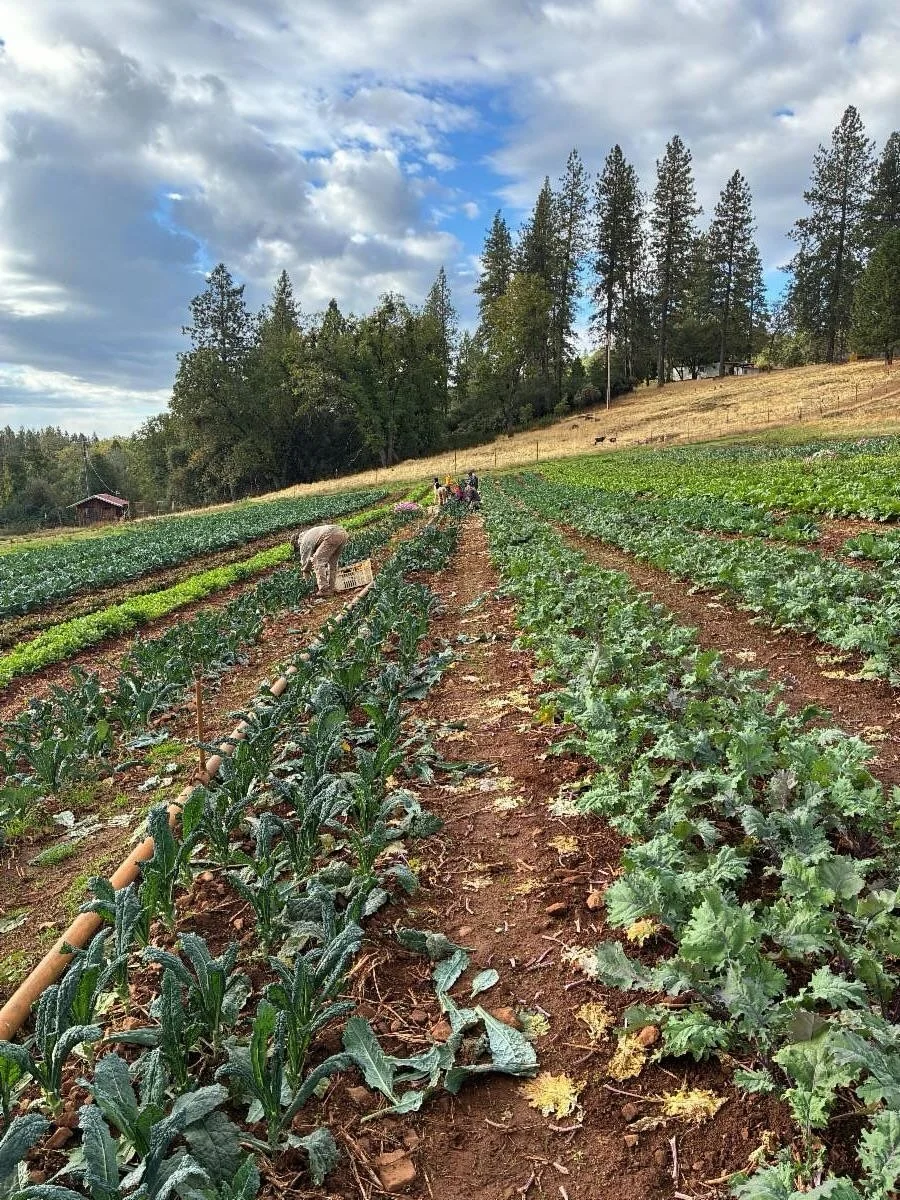 Fall Vibes at the Farm ππ