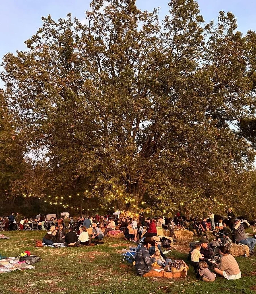 Saturday&rsquo;s Harvest Festival was a blowout success, better than ever. The farm was lush and green after the amazing fall rains. Around 300 people enjoyed mingling under the oak tree, another mind-blowing pinata, kids games and crafts, a lovely s