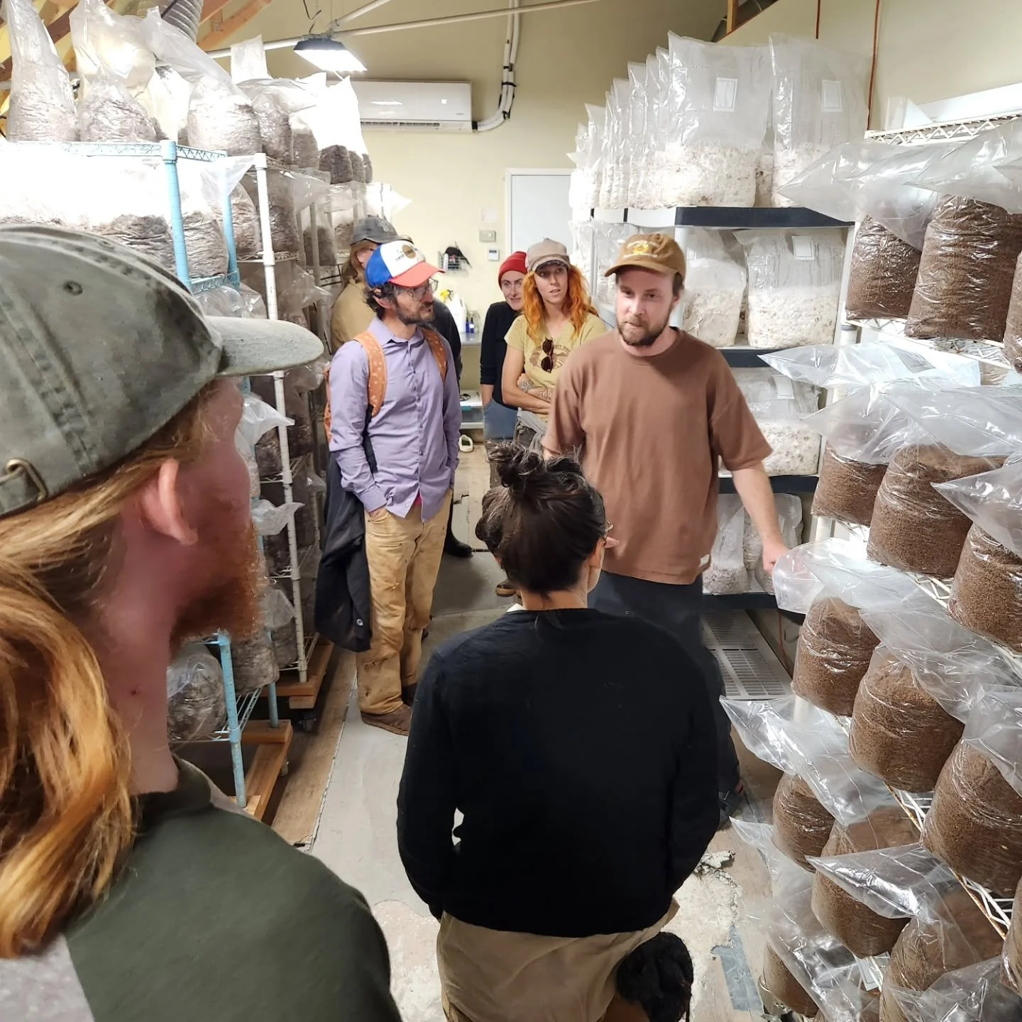 Last week the Mountain Bounty Farm crew took advantage of the slower field season and toured Grass Valley Mushrooms. Dylan, Malvina and Nico graciously guided us through the full process - from substrate preparation, culturing and incubation to fruit