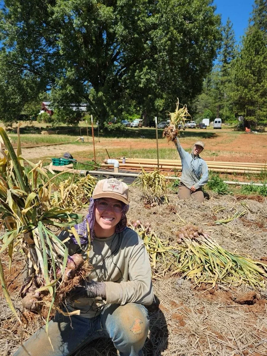 Happy New Year and welcome back everyone.

2026 is year 30 for Mountain Bounty!

I&rsquo;m proud, and little shocked, that we&rsquo;ve made it this far. It&rsquo;s been a collection of many small miracles. Seeds sprouting. Many people thinking, sweat