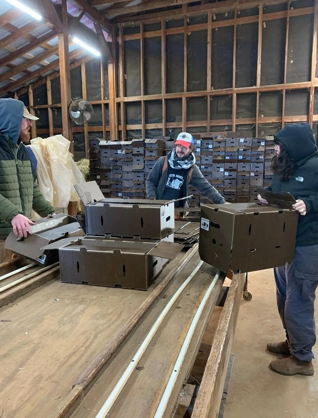 While the winter season is comparatively more slow paced on the farm than other times of the year, our small (but mighty) farm crew is still in action - getting CSA boxes assembled and filled with veggies to be sent on their way, researching and orde